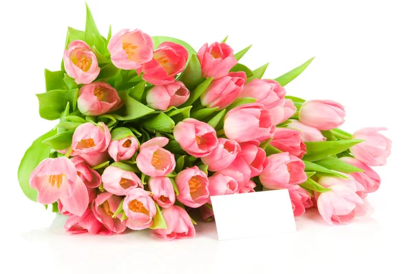 Tulipanes con tarjeta de felicitación aislados sobre fondo blanco —  Fotos de Stock