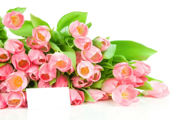 Tulipanes con tarjeta de felicitación aislados sobre fondo blanco — Foto de Stock