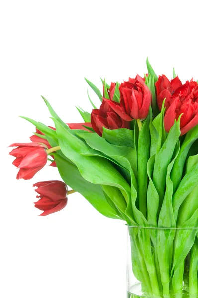 Tulpenstrauß in der Vase — Stockfoto