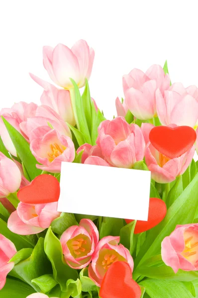 Tulips with greeting card isolated on white background — Stock Photo, Image