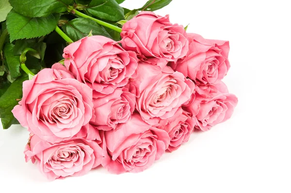 Roze rozen — Stockfoto