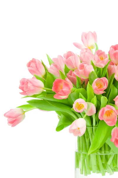 Tulipes roses dans le vase isolé sur fond blanc — Photo