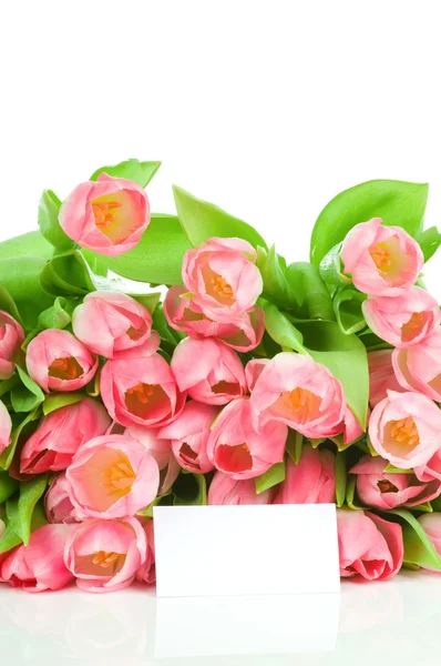 Тюльпани з вітальною листівкою ізольовані на білому тлі — стокове фото