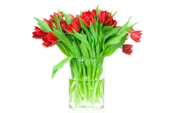 Bouquet of tulips in the vase — Stock Photo, Image