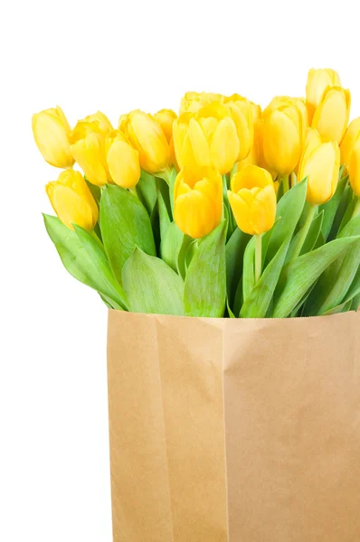 Tulipani nel sacchetto di carta — Foto Stock