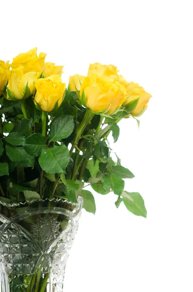 Gelbe Rosen in der Vase isoliert auf weißem Hintergrund — Stockfoto