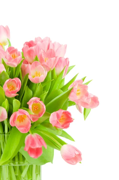 Tulipes roses dans le vase isolé sur fond blanc — Photo