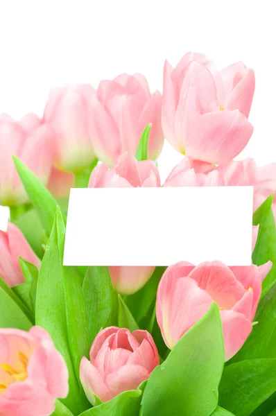 Tulipani con biglietto di auguri isolato su sfondo bianco — Foto Stock