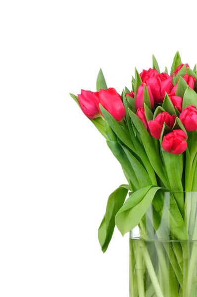 Ramo de tulipanes en el jarrón — Foto de Stock