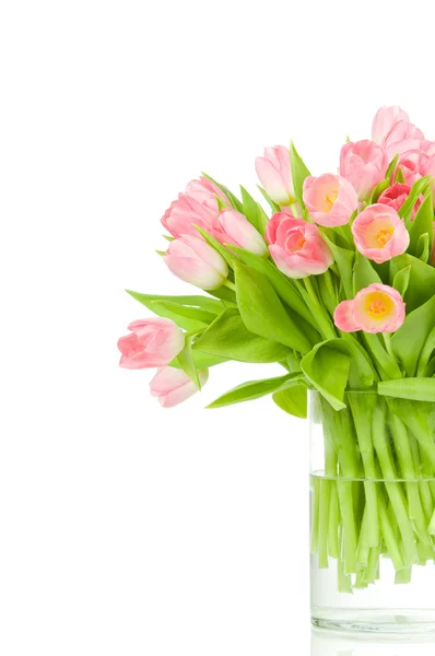 Roze tulpen in de vaas geïsoleerd op witte achtergrond — Stockfoto