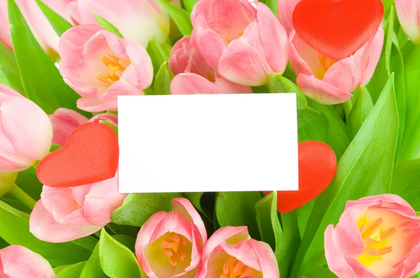 Tulpen mit Grußkarte isoliert auf weißem Hintergrund — Stockfoto