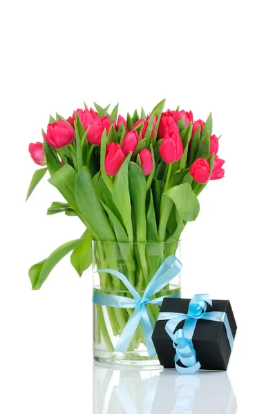 Tulips and gift box with blue ribbon isolated on white background — Stock Photo, Image