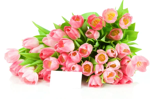 Тюльпани з вітальною листівкою ізольовані на білому тлі — стокове фото