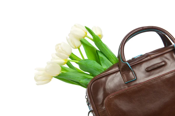 Bouquet of tulips in the leather briefcase — Stock Photo, Image