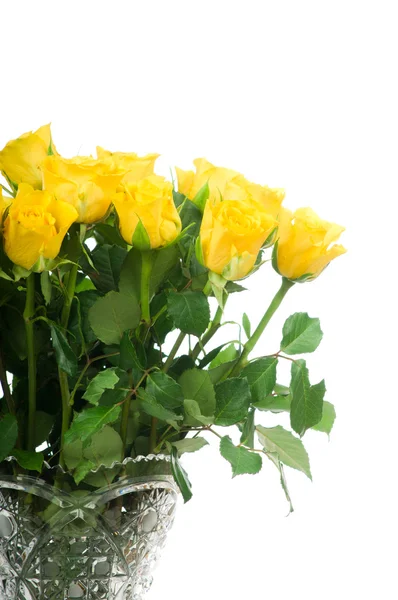 Żółte róże w wazonie na białym tle — Zdjęcie stockowe