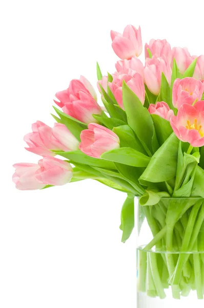 Pink tulips in the vase isolated on white background Royalty Free Stock Images