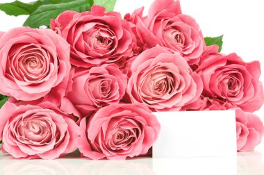 pembe güller ve beyaz izole kart