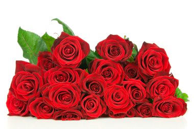 Beyaz arka planda izole güller