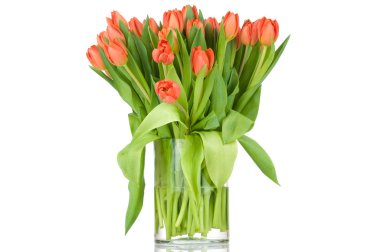 cam aranjman beyaz arka plan laleler