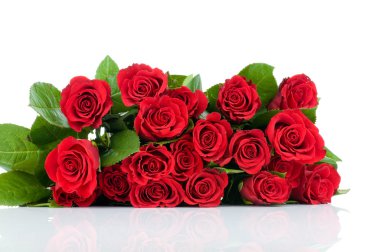 Beyaz arka planda izole güller