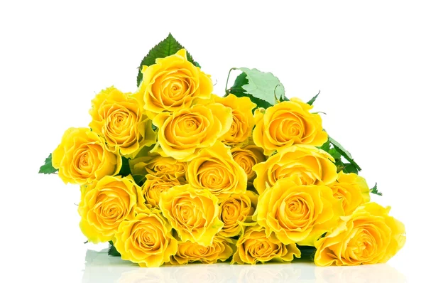 Rosa gialla isolata su sfondo bianco — Foto Stock