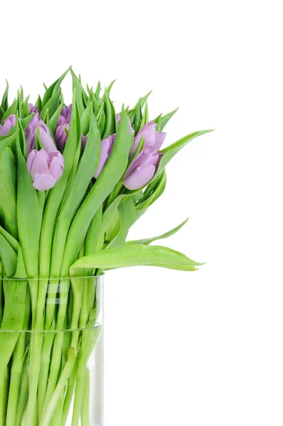 Bouquet de tulipes dans le vase isolé sur fond blanc — Photo