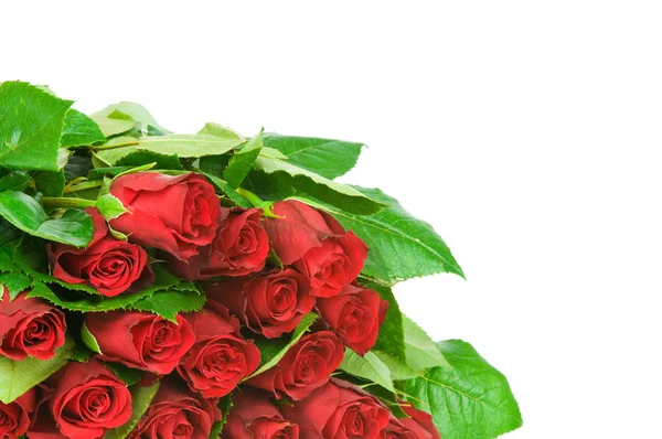 Roses bouquet isolates on white background — Stock Photo, Image