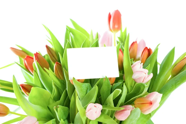 Concept.Tulpen und Karte isoliert auf weißem Hintergrund — Stockfoto