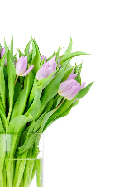 Boeket van tulpen in de vaas geïsoleerd op witte achtergrond — Stockfoto