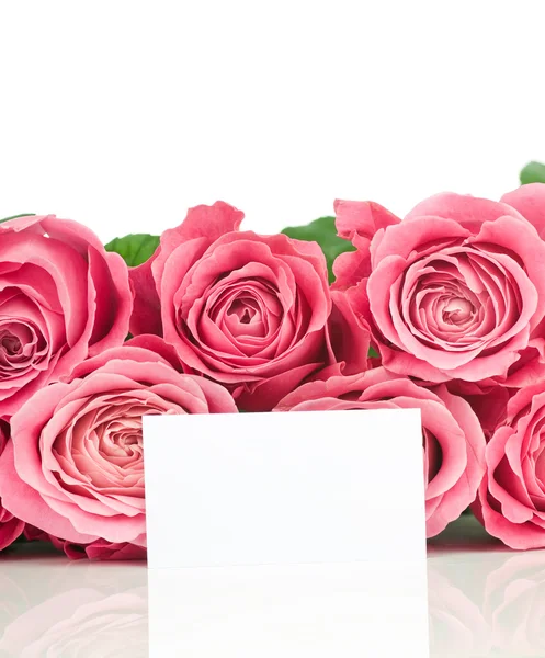 粉红色玫瑰和一张卡片上白色隔离 — 图库照片