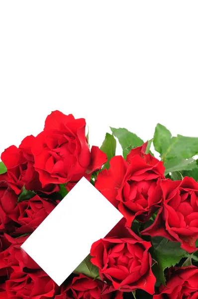 Mazzo di rose rosse un biglietto di auguri isolato su sfondo bianco — Foto Stock