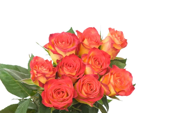 Rose bouquet isolato su sfondo bianco — Foto Stock