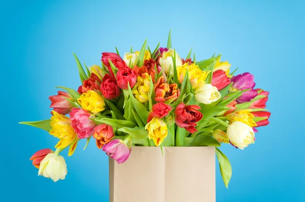 Tulips in paper bag on blue background — Stock Photo, Image