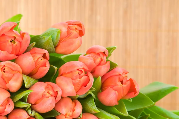 Tulpen auf Holzgrund — Stockfoto