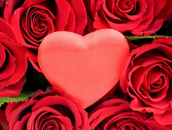 Valentine Coeur en roses rouges — Photo