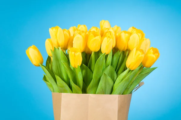 Tulpen in Papiertüte vor blauem Hintergrund — Stockfoto