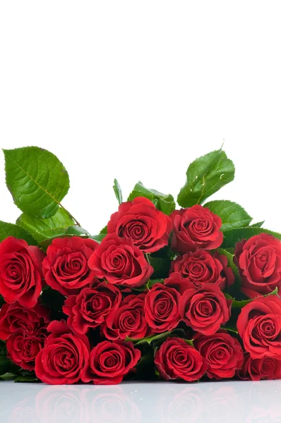 Rose bouquet isolato su sfondo bianco — Foto Stock