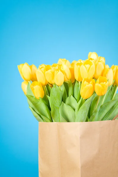Tulipes dans un sac en papier sur fond bleu — Photo