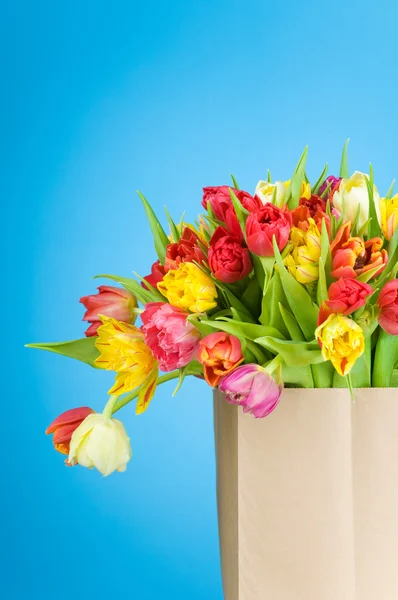Tulipany w papierowej torebce na niebieskim tle — Zdjęcie stockowe