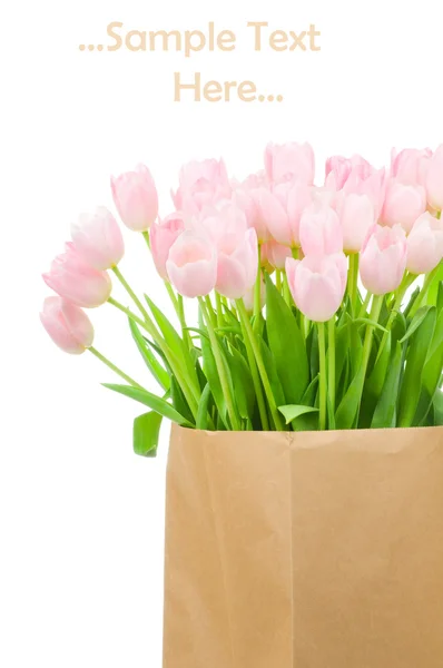 Tulipanes en bolsa de papel sobre fondo blanco — Foto de Stock