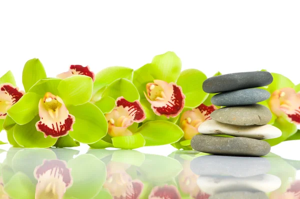 Gyönyörű zöld orchidea és spa készlet elszigetelt fehér background — Stock Fotó