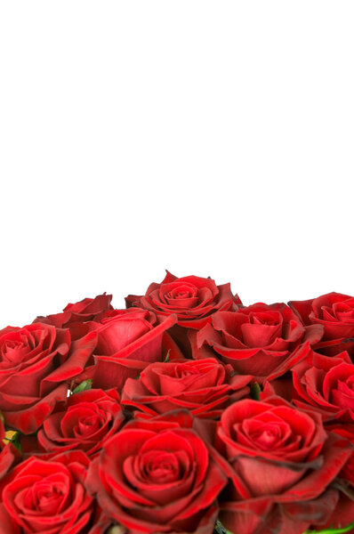 Roses bouquet isolated on white background