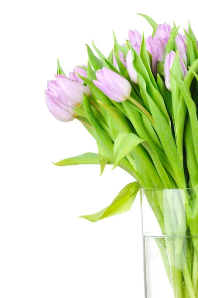 Boeket van tulpen in de vaas geïsoleerd op witte achtergrond — Stockfoto