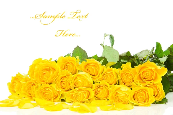 Keltainen ruusu eristetty valkoisella taustalla — kuvapankkivalokuva