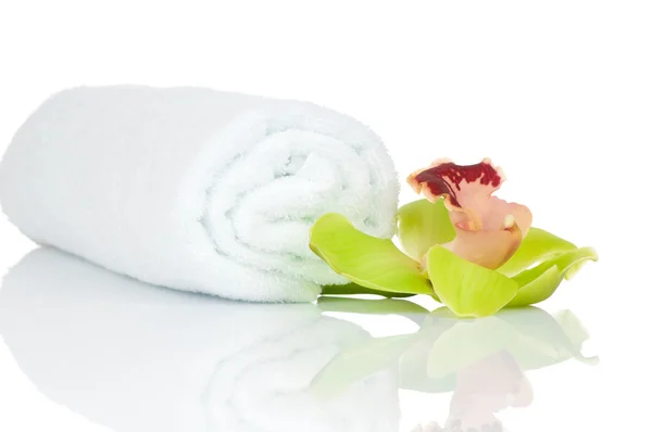 Ręcznik i piękny storczyk zielony na białym tle — Zdjęcie stockowe
