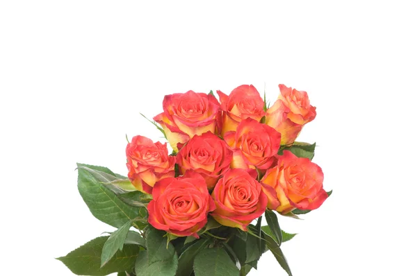 Buquê de rosas isolado no fundo branco — Fotografia de Stock