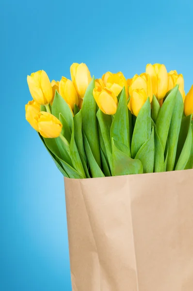 Tulipanes en bolsa de papel sobre fondo azul — Foto de Stock
