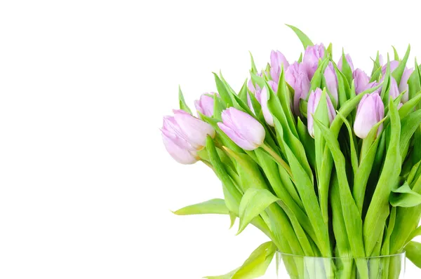 Boeket van tulpen in de vaas geïsoleerd op witte achtergrond — Stockfoto