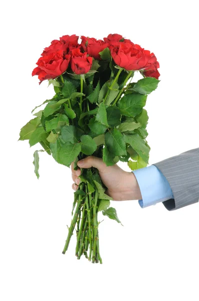 Человек держит за руку кучу красных роз, изолированных на белом фоне — стоковое фото