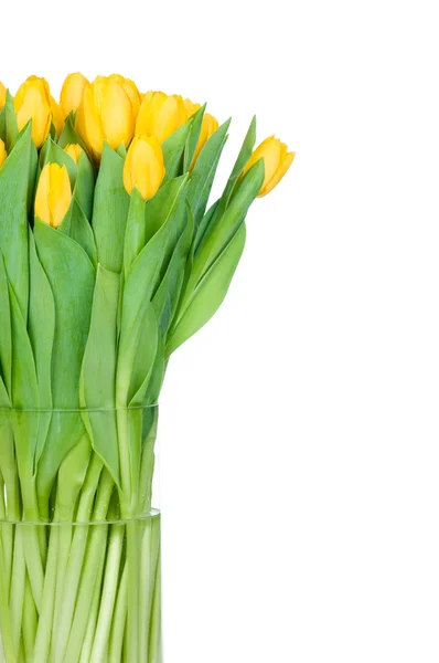 Tulpen in der Vase vor weißem Hintergrund — Stockfoto